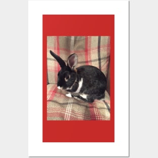 Tartan Easter Baby Bunny Rabbit Posters and Art